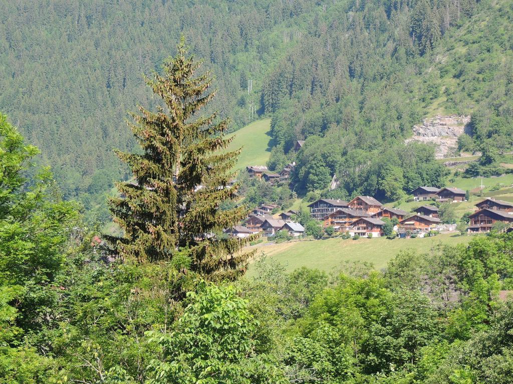 Apartamento La Duche 101 Le Grand-Bornand Habitación foto